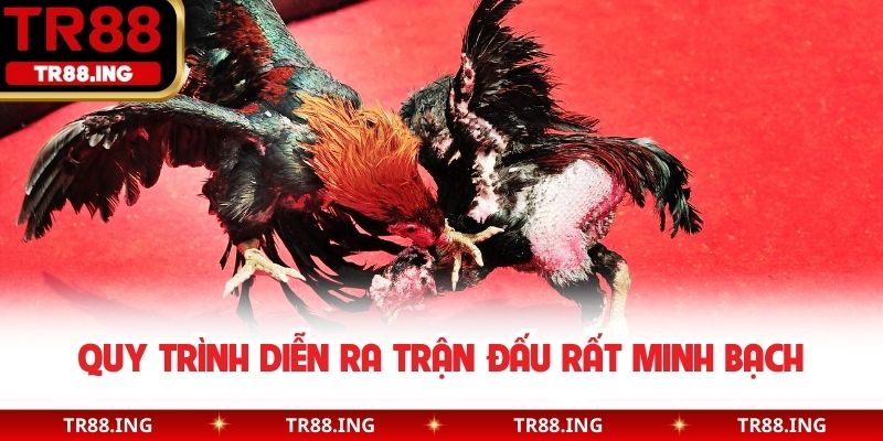 Quy trình diễn ra trận đấu rất minh bạch 